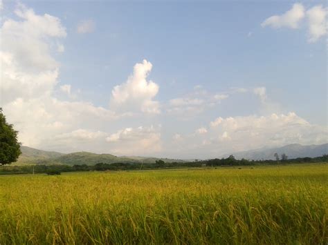 english of bukid|Bukid Meaning .